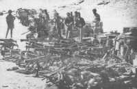 Machine-guns and rifles 
captured at Giarabub, March 1941