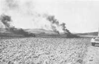 Burning trucks on the plain 
south of Lamia (Maj S