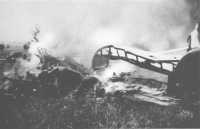 A Henschel 126 
reconnaissance plane brought down on 21st April by Sapper J