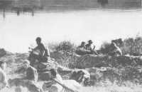 Australian troops resting 
on the shores of Buda Bay (Australian War Memorial)