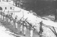 Australian ski troops 
training in the Lebanons (Australian War Memorial)