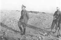 Rommel in the Western 
Desert (Luce)