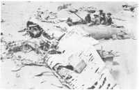 A gun position of the 8th 
Battery, 3rd Australian light Anti-Aircraft Regiment, alongsidc the remains of a Stuka dive bomber at Tobruk