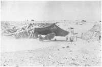 Camouflaged hangars 
constructed by 9th Divisional Engineers at El Gubbi
