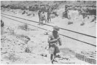The railway cutting at Tel 
el Eisa, the scene of bitter fighting by the 2/23rd Battalion on 22nd July 1942