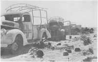 On the night 
14th–15th July 15 trucks approached “A” Company, 2148th Battalion, near the Tel el Eisa cutting