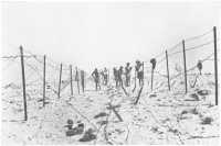 Preparing barbed-wire 
defences at El Alamein