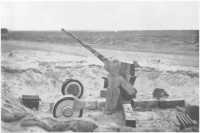 A dummy light anti-aircraft 
gun position in the coastal sector