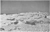 Australian positions near 
the sea, El Alamein