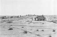 Transport moving in the 
wake of Rommel`s retreating army in the Western Desert