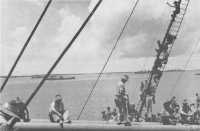 Troops of the 9th Division 
aboard the troopship Nieuse Amsterdam anchored off Addu Atoll, one of the small islands in the Maldive Group in the 
Indian Ocean, where the homeward bound convoy refuelled in February 1943 