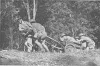 Members of the 2/4th 
Anti-Tank Regiment manhandling a gun into position during training (Australian War Memorial)