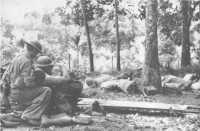 Stretcher bearers attending 
a wounded Australian (Australian War Memorial)