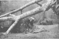 Two of the nine Japanese 
tanks knocked out by anti-tank guns forward of Bakri on 18th January (Australian War Memorial)