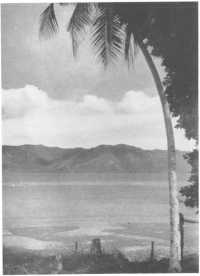 Looking south-east from 
Laha across the bay of Ambon to Mount Nona