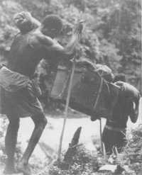 Native carriers on the 
Kokoda Track with a two-man load weighing about 70 lbs