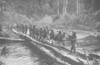 The 2/33rd Battalion 
crossing the log bridge over the Brown River on the way from Nauro to Menari