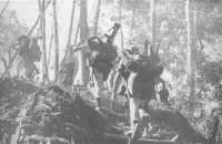 Members of the 16th Brigade 
reaching the crest of a ridge on the way forward to Templeton’s Crossing