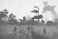 Allied aircraft bomb 
Japanese positions in bush near Gona (AWM)