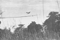 An RAAF Wirraway comes in 
at tree-top level to machine-gun Japanese positions at Gona (AWM)
