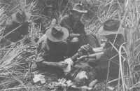 The wounds of an Australian 
infantryman, hit by mortar burst in the head, thigh and arm, are dressed in the shelter of tall kunai grass at Gona