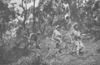 An Australian patrol in 
Portuguese Timor, October–November 1942