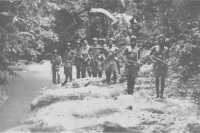 Men of the 2/24th Battalion 
accompanied by scouts of the Papuan Battalion setting out on patrol in the Sattelberg area, 15th November 1943