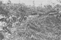 Men of the 2/48th 
Battalion, supported by Matilda tanks, making their way forward to attack Coconut Ridge on the Sattelberg Road on 17th 
November 1943