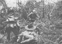 The attack on Coconut 
Ridge, 17th November 1943
