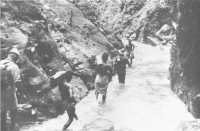 Natives carrying food and 
ammunition through the Masa gorge to Australian troops at advanced positions in the Finisterres