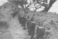 A company of the 2/2nd 
Battalion moving westward past Dagua on the way to the 1410 Feature, 25th March 1945