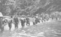 A carrier line, with an 
infantry escort, taking supplies to the 2/3rd Battalion in the Wonginara Mission area