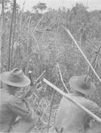 Men of the 2/7th Battalion 
watching for signs of Japanese movement in Kiarivu village