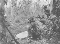 Bren gun position of the 
2/43rd Battalion north of Labuan airfield, 13th June