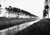 The Leopold Canal, Looking 
East, 1946