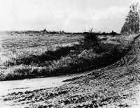Biervliet From the East, 
1946, This is the area where the 9th Canadian Infantry Brigade fought following its landing in the rear of the Breskens 
Pocket on 9 October 1944