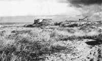 Atlantic Wall Defences Near 
Cadzand, The gun at the right, capable of all-round traverse, could be used against Canadian troops on the Leopold Canal 
and elsewhere in the Breskens Pocket
