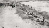 19 Battalion at work on the 
anti-tank ditch at Wadi Naghamish, June 1940