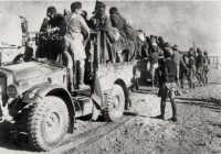 New Zealand trucks carry 
back Italian prisoners from the First Libyan Campaign, December 1940