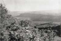 Looking towards Katerini 
from the Maori Battalion positions in Olympus Pass – a post-war photograph