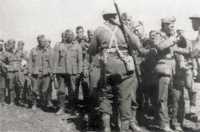 19 Battalion’s first 
German prisoners, Servia