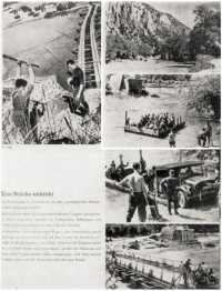 German tanks ford the 
Pinios River – from a German magazine