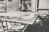 A relief model, made by the 
Engineers, of the battle area