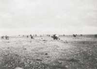 Fifth Brigade drives 
towards the frontier