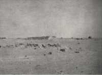 Sidi Azeiz, scene of the 
last stand of 5 Brigade Headquarters on 27 November