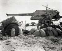 German 88-millimetre guns 
captured on Alam Nayil