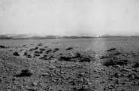 The Division, in desert 
formation, advances from Wadi Zemzem towards Beni Ulid