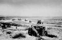 NZASC vehicles pass through 
the Wadi Akarit defences
