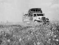A convoy passes through a 
field of daisies
