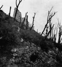 Cave used by 1 Parachute 
Division as ammunition dump and living quarters, Cassino